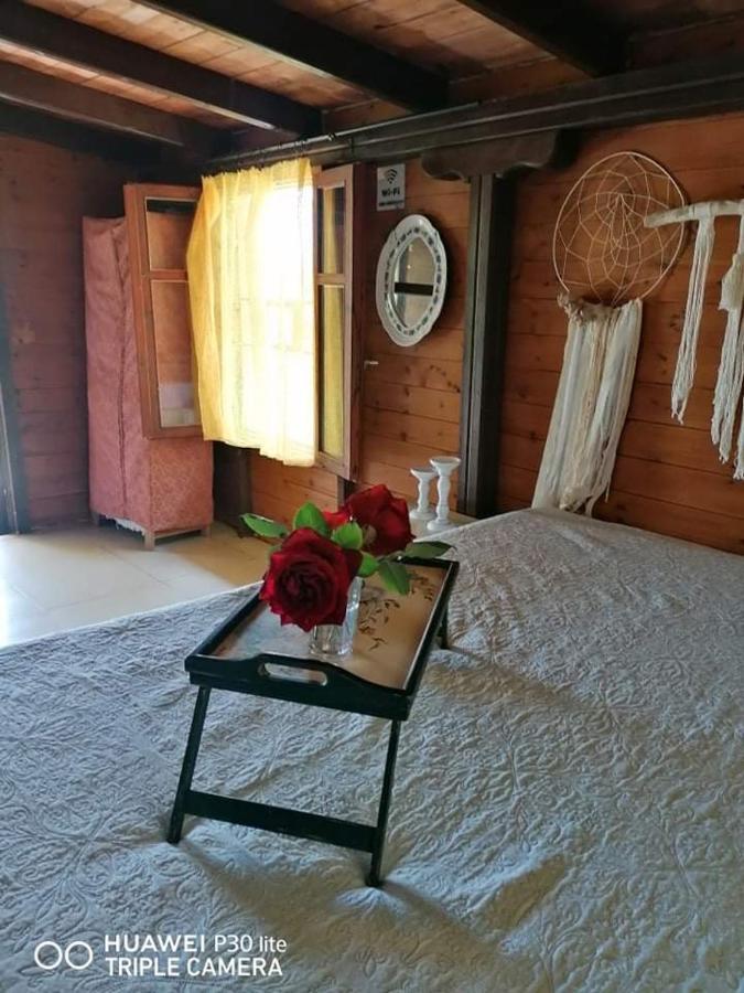 Country Village Νέα Ποτίδαια Εξωτερικό φωτογραφία