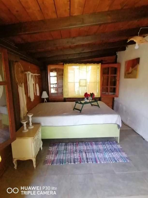 Country Village Νέα Ποτίδαια Εξωτερικό φωτογραφία