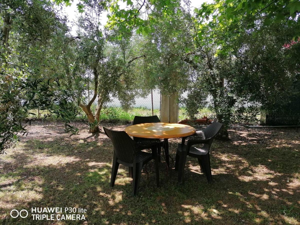 Country Village Νέα Ποτίδαια Εξωτερικό φωτογραφία
