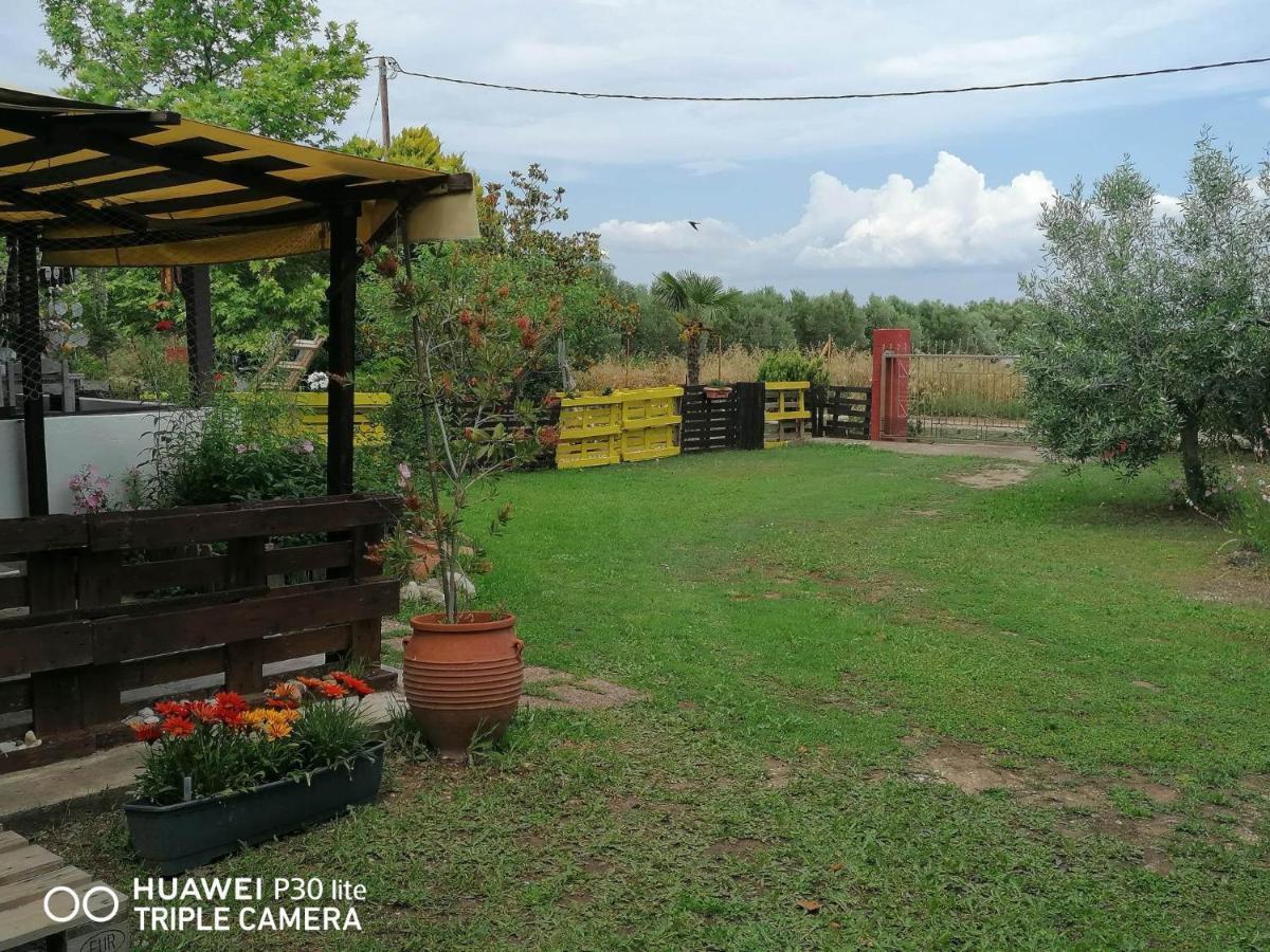 Country Village Νέα Ποτίδαια Εξωτερικό φωτογραφία